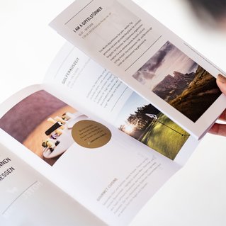 Illustration der Referenzen von Martina Leimegger: Designed bei Brandnamic*