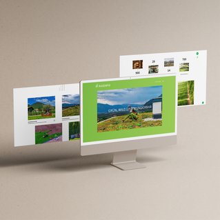 Illustration der Referenzen von Martina Leimegger: Designed bei Brandnamic*