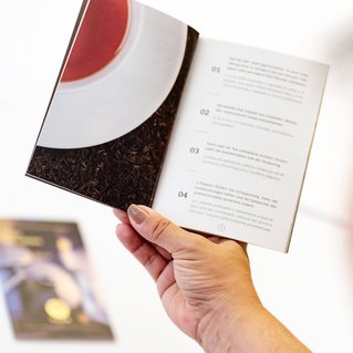 Illustration der Referenzen von Martina Leimegger: Designed bei Brandnamic*